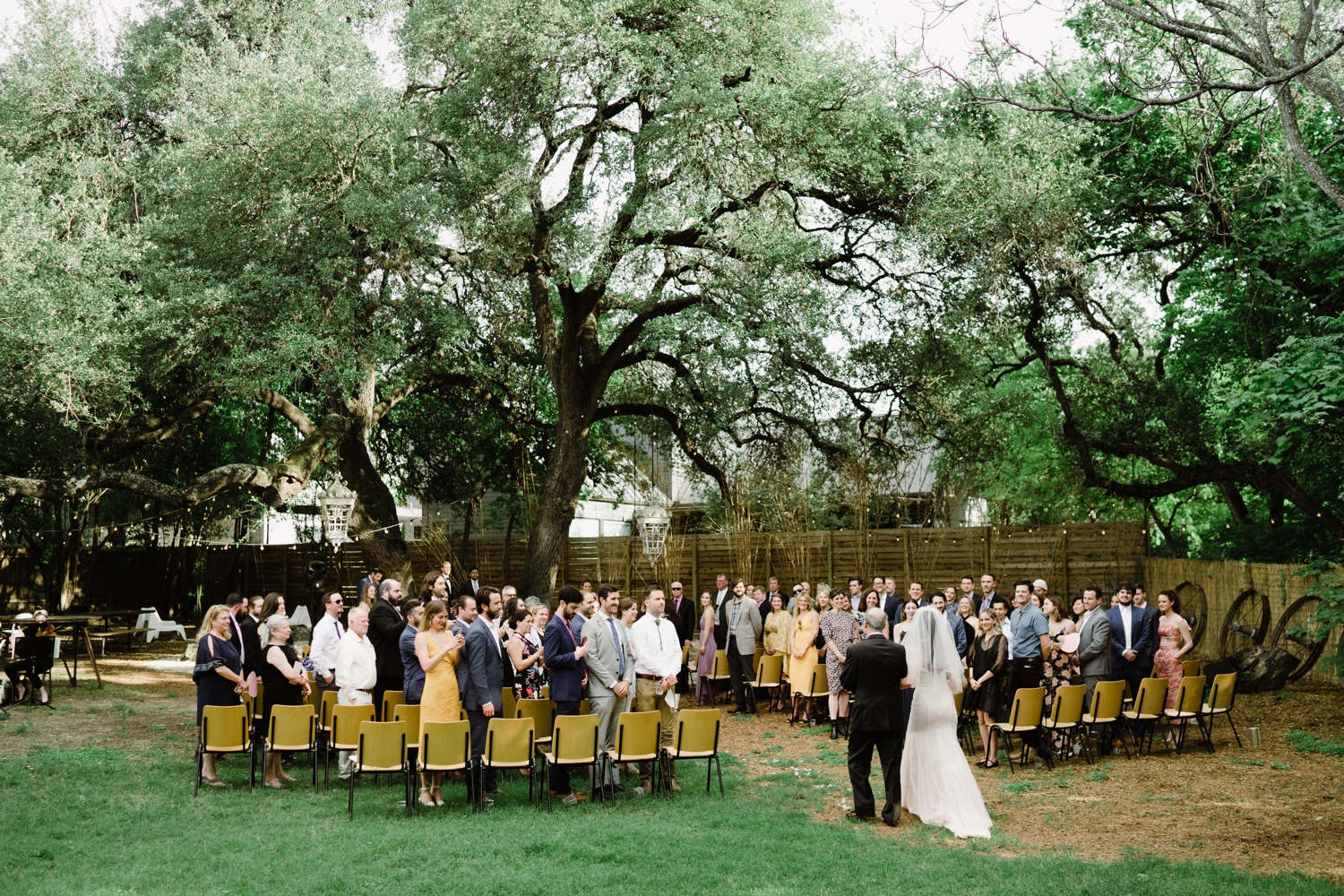 Downtown Austin wedding ceremony outdoors under an Oak Tree