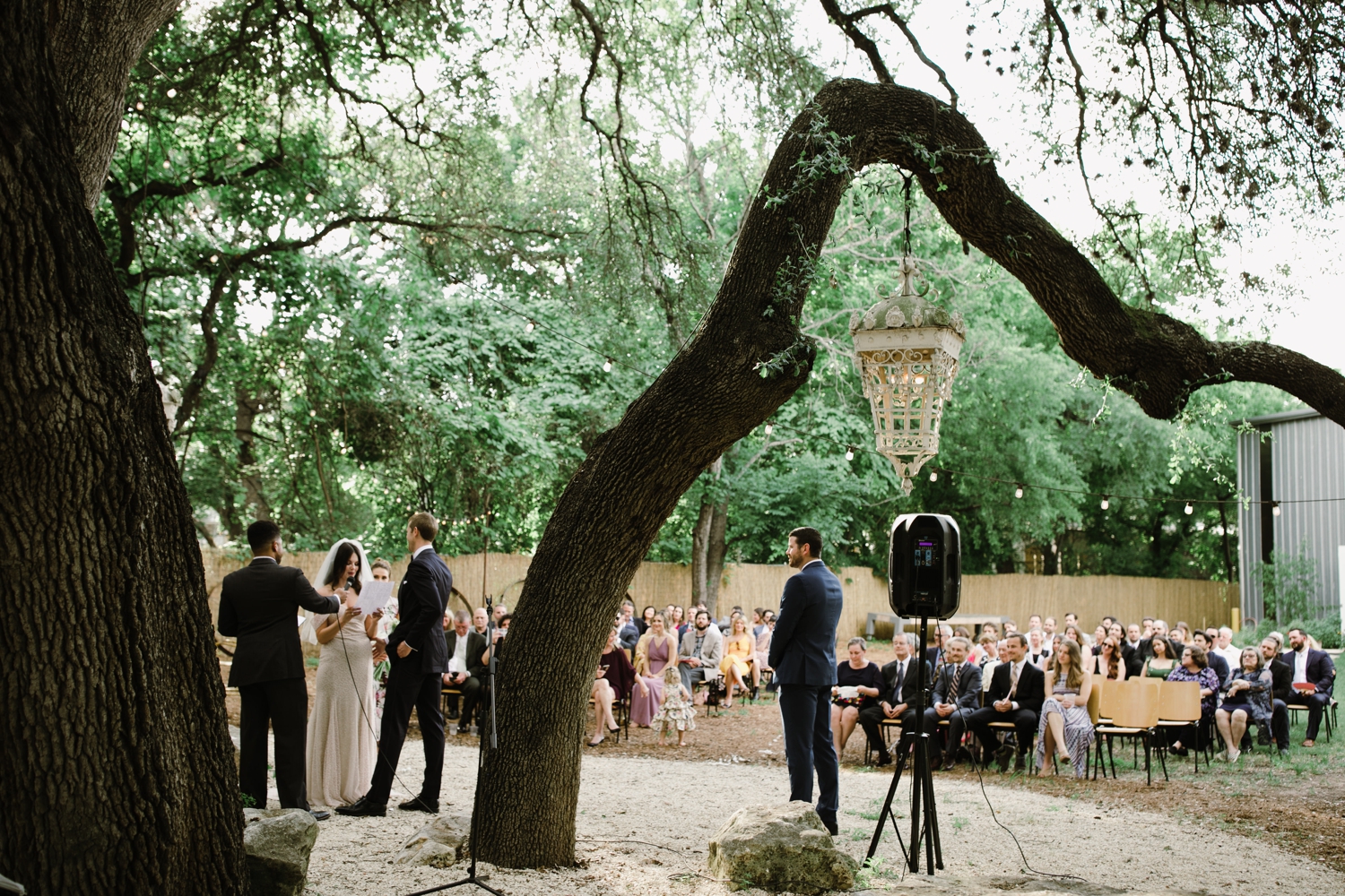 Downtown Austin wedding ceremony outdoors under an Oak Tree