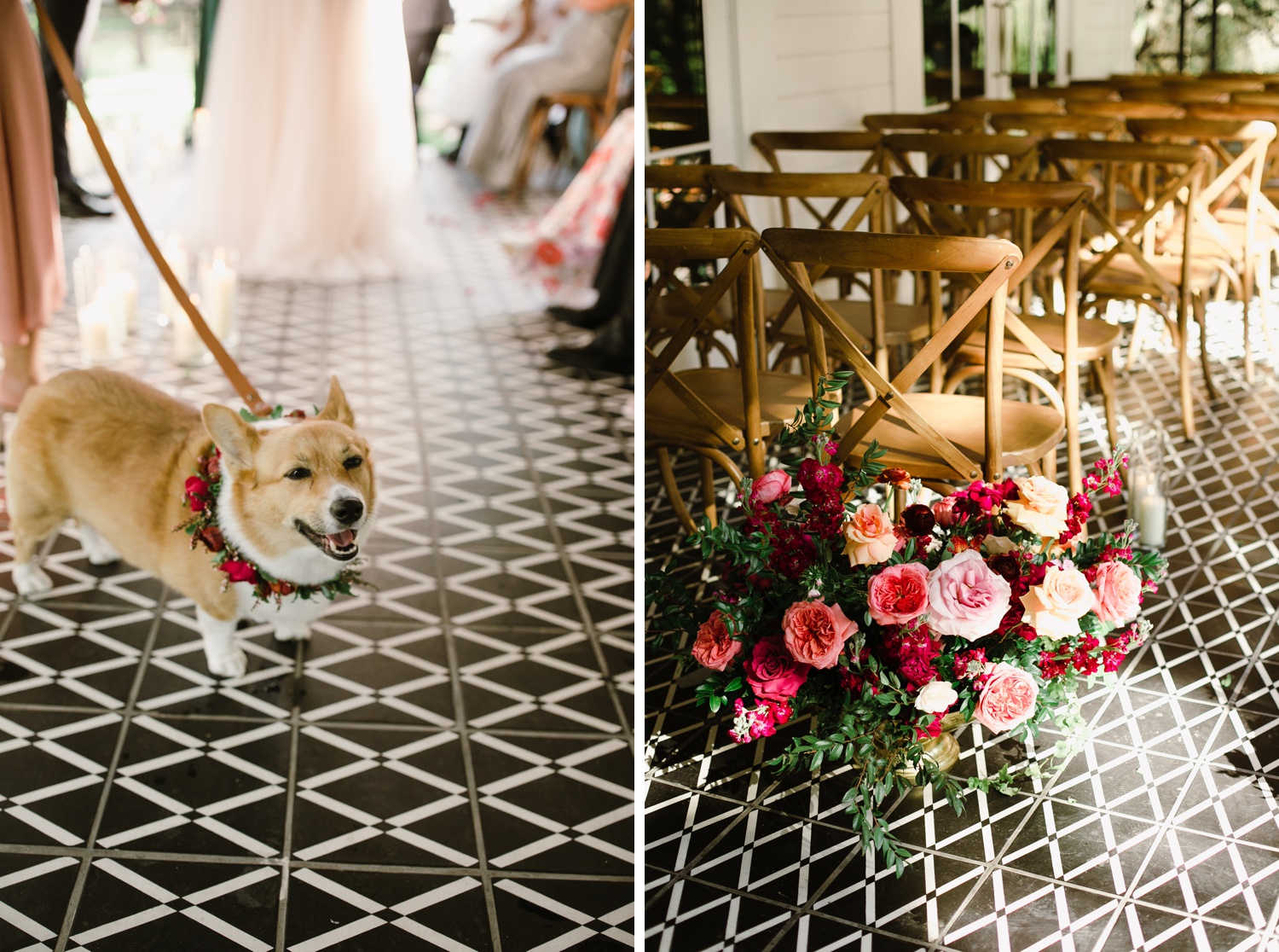 Bride and groom walking down the aisle with their pet corgis