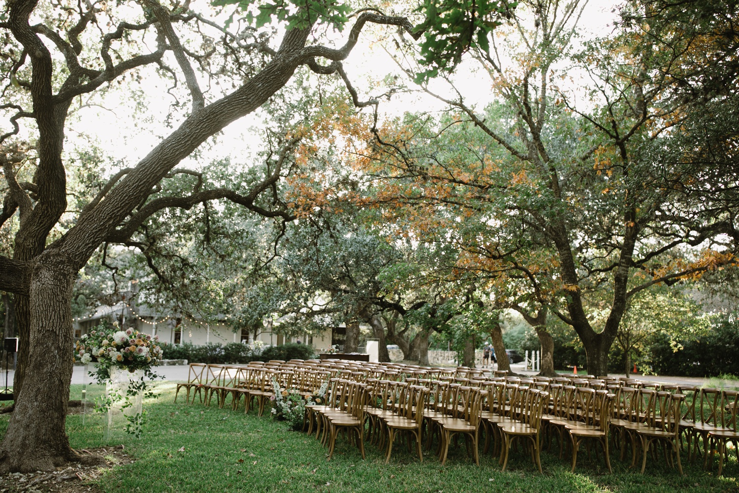Outdoor wedding ceremony featuring wooden cafe chairs and floral installations underneath live oak trees