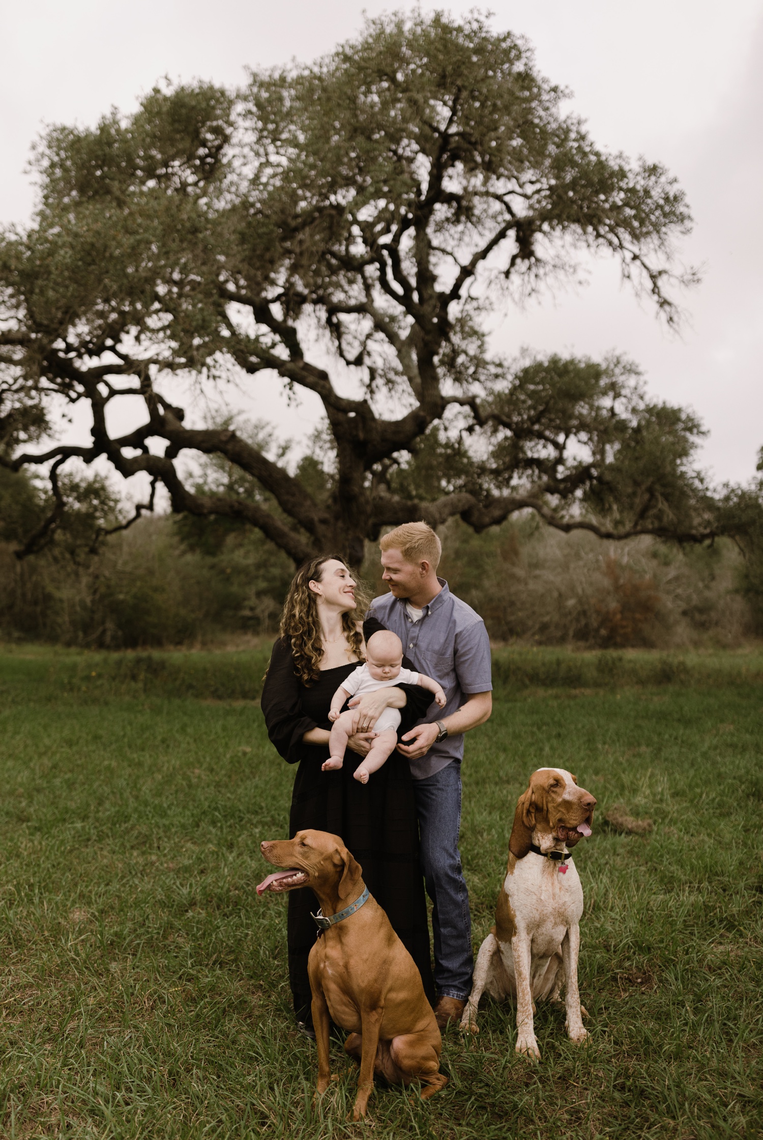 Amber Vickery - Austin Family & Lifestyle Photographer