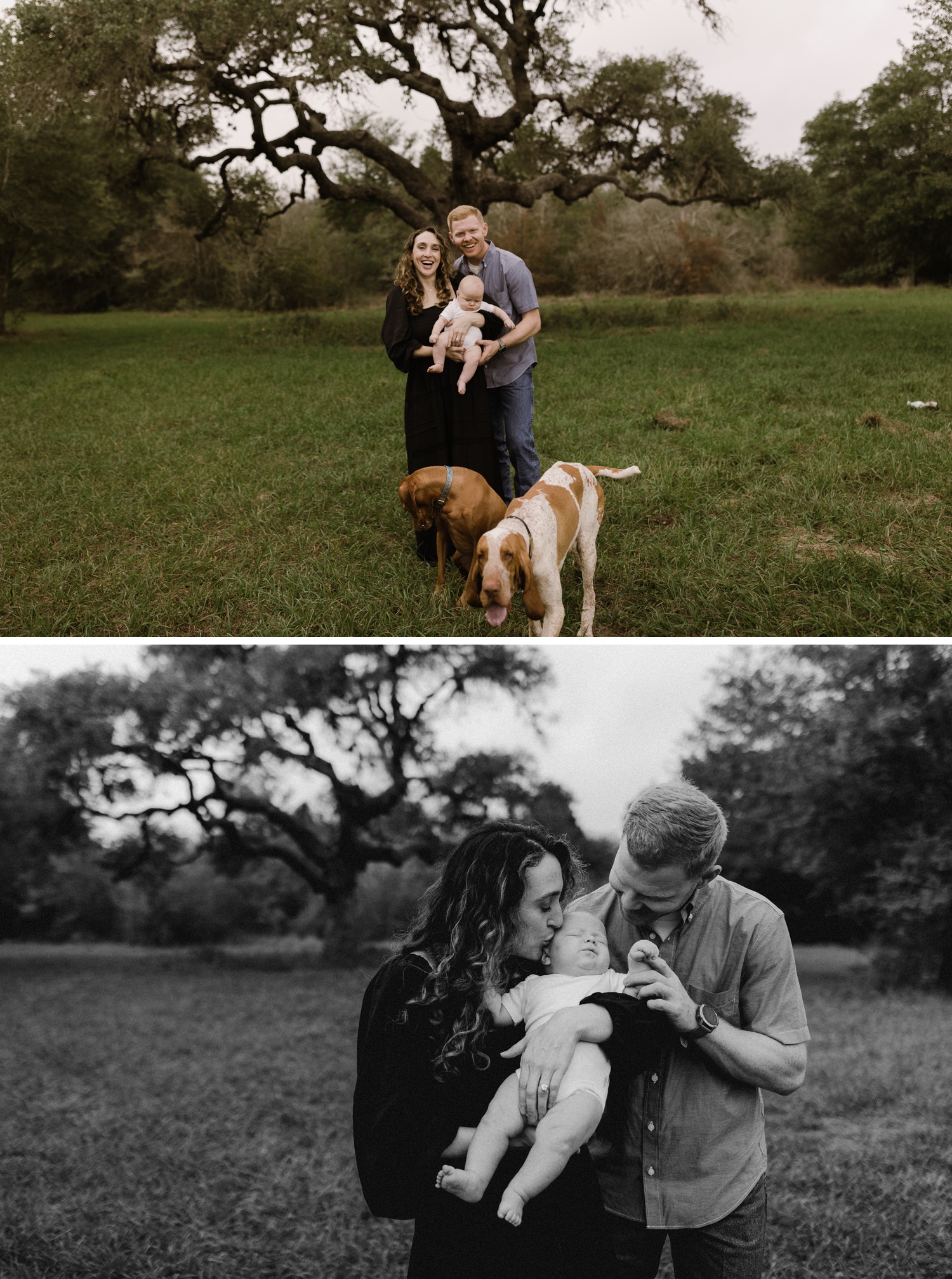 Amber Vickery - Austin Family & Lifestyle Photographer