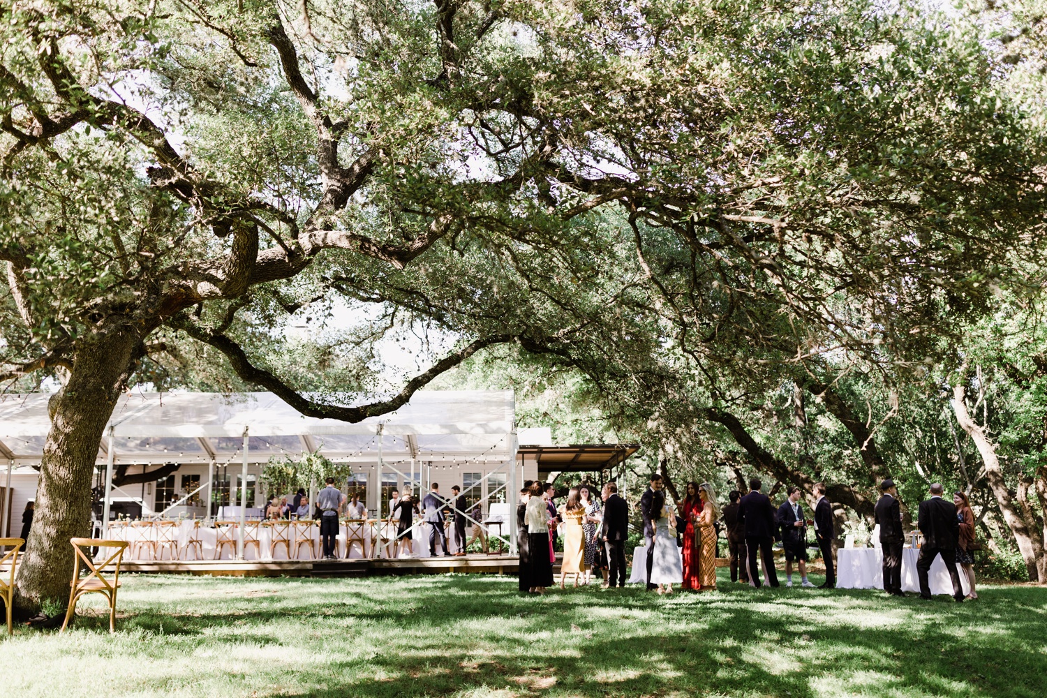 Wedding reception under a clear-top tent at Mattie's Austin