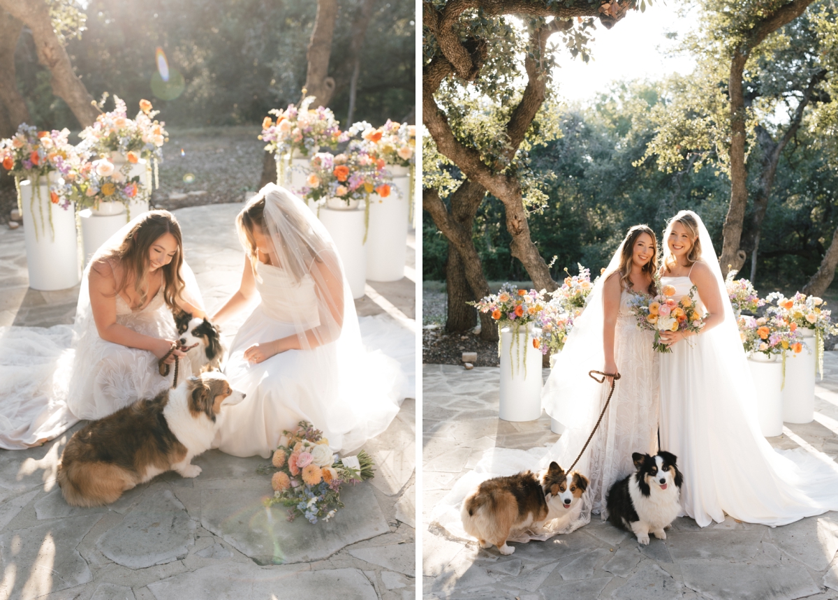 The brides pet their corgi's and walk them down the aisle