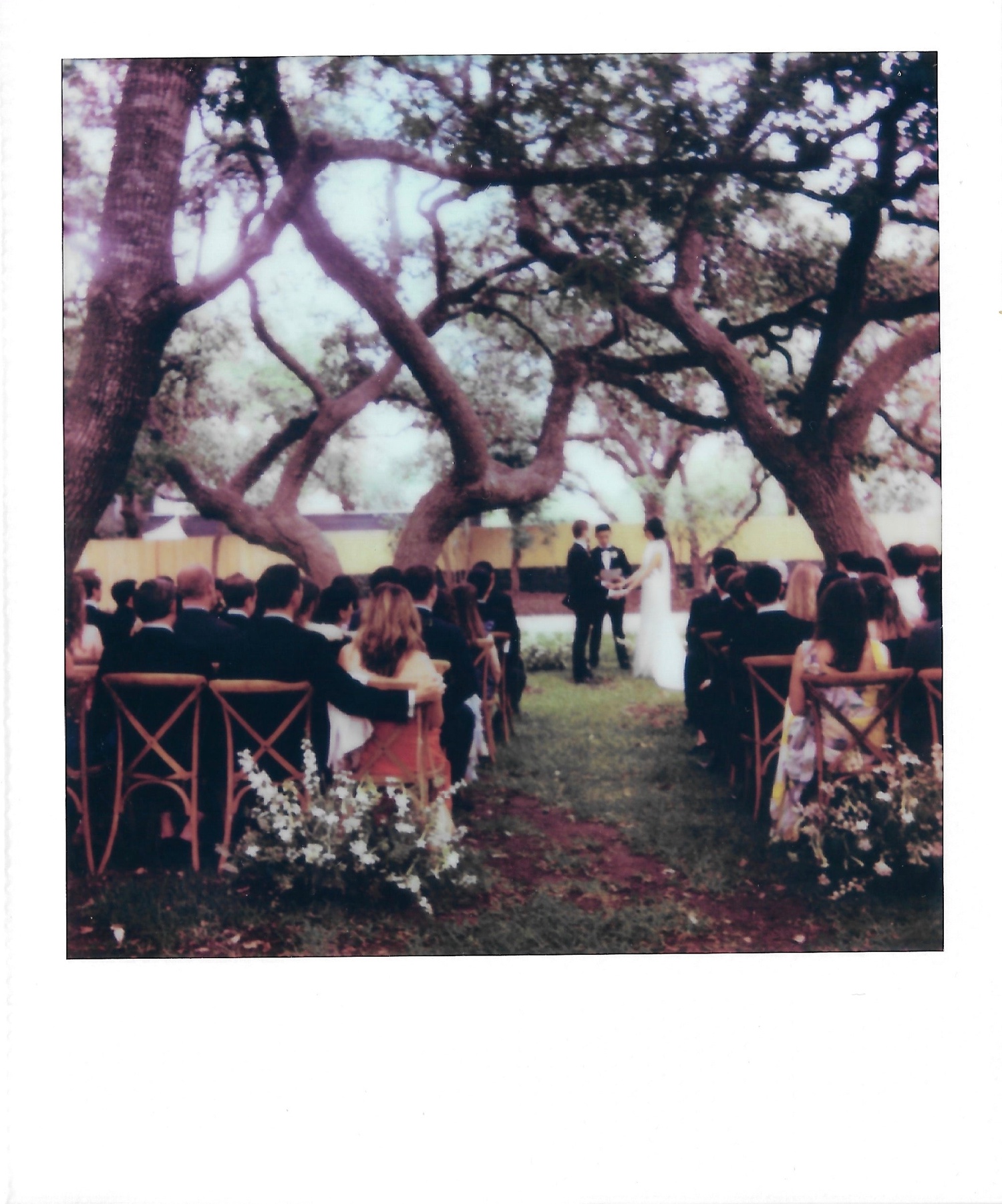 Polaroid of an outdoor wedding ceremony at Mattie's Green Pastures