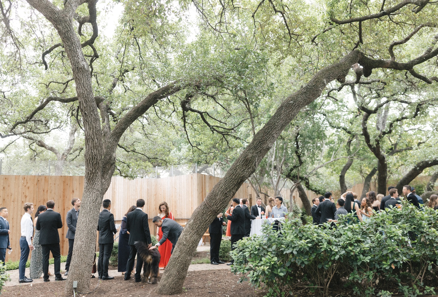 Guests outside for cocktail hour at a Mattie's Green Pastures wedding